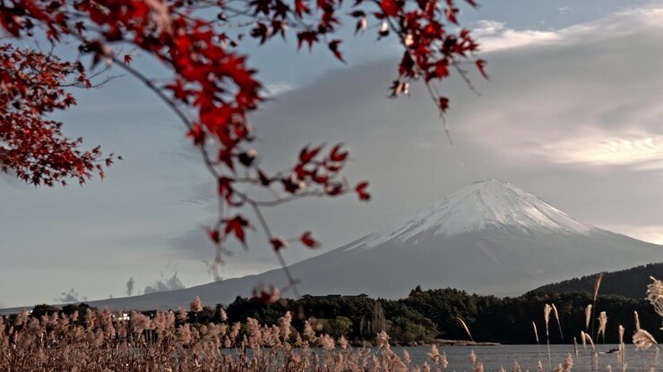 Lenta panoramica dalle foglie di acero rosso (Momiji) a uno splendido paesaggio autunnale del Monte Fuji con la cima innevata al lago Kawaguchiko in Giappone