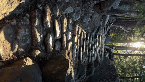 Sunlight-Shining-Through-Pine-Trees-onto-a-Rocky-Stairway-Hiking-Trail,-Vertical-Video