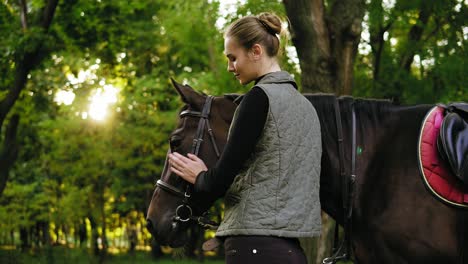 Back-view-of-a-young-woman-stroking-brown-horse-with-white-spot-on-forehead-in-park-during-sunny-day-holding-leather-strap-of