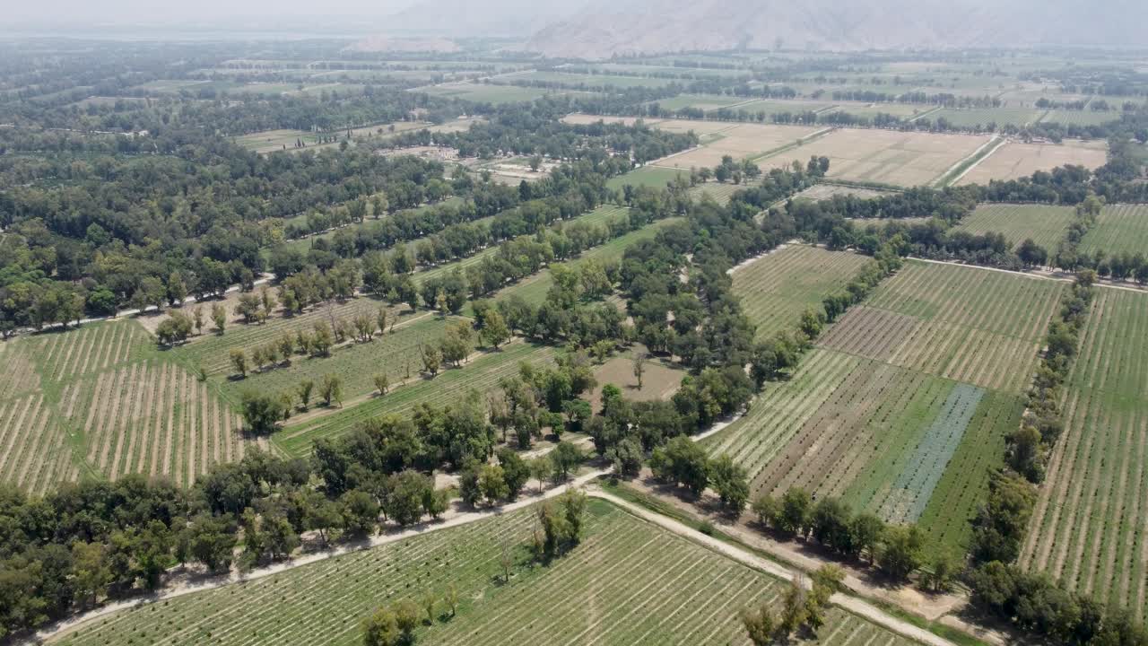 나무와 농장이 어떻게 공존하는지
