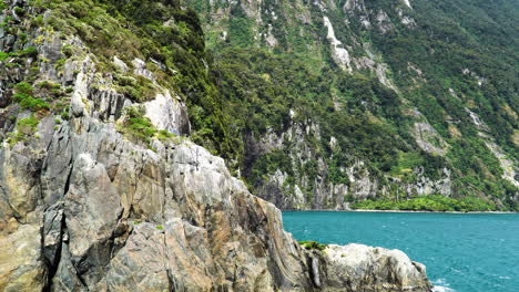 Kultiger-Copper-Point-In-Neuseeland,-Milford-Sound