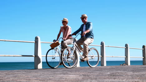 active seniors going on a bike ride by the sea