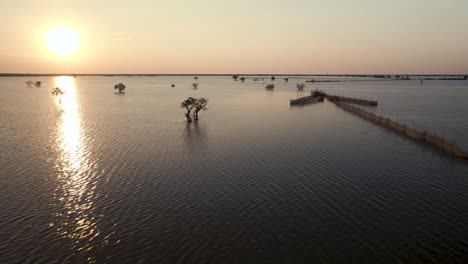 golden sunset over the tonle sap lake flood planes as the floodwater recedes revealing isolated lonely trees and an arrow headed fish trap