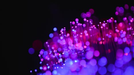 Fiber Optics Macro Shot 17