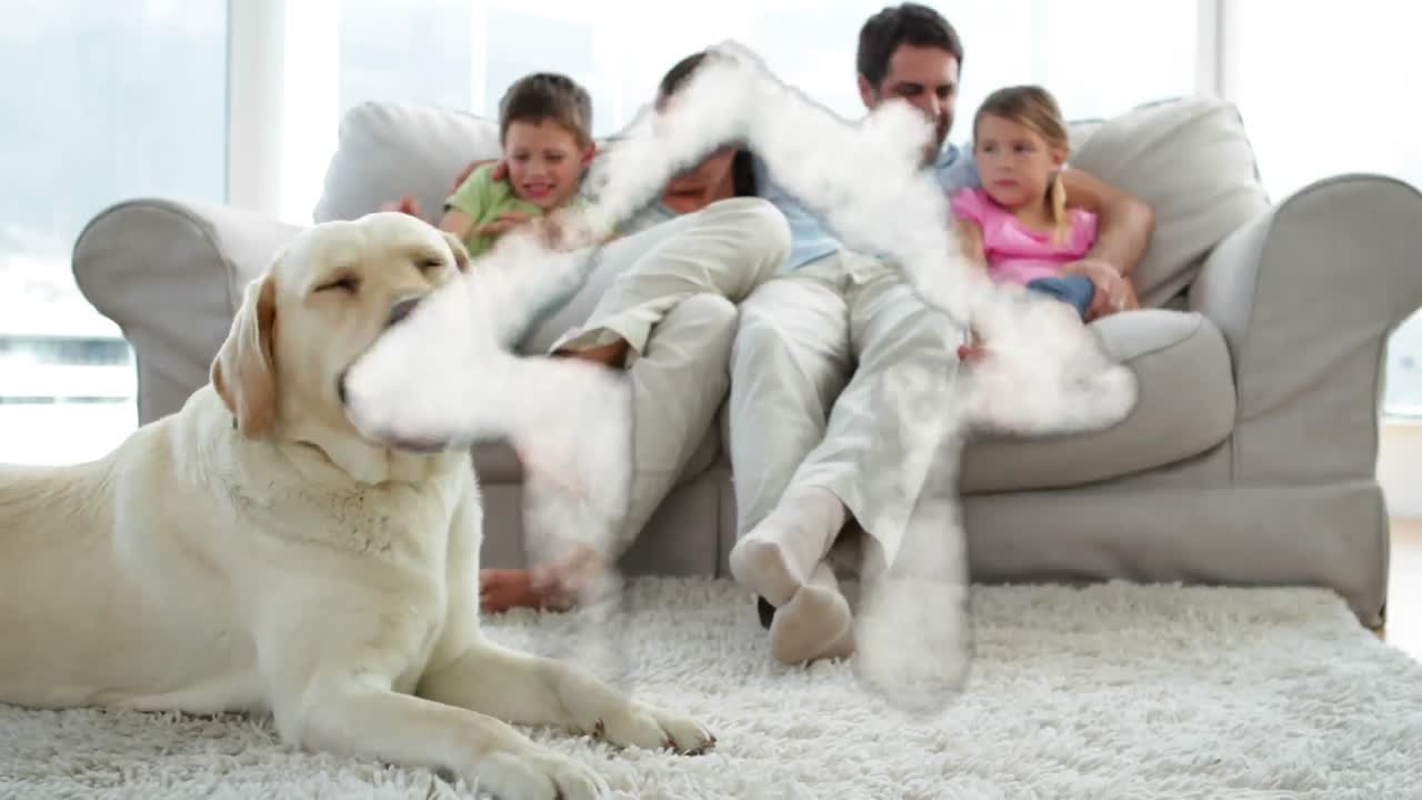 꿈의 집과 개와 함께하는 가족