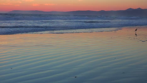 a beautiful beach scene at sunset along california highway one
