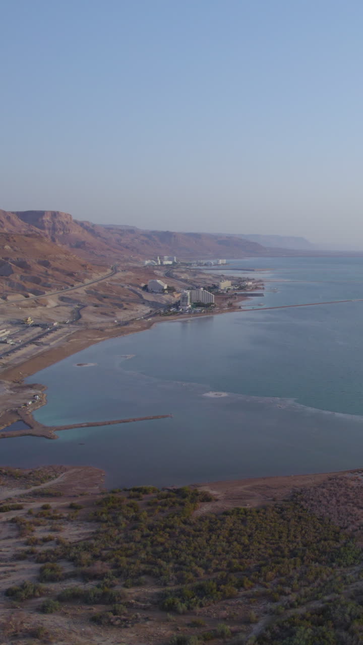 Un'area con fioriture verdi vicino al Mar Morto con gli hotel sullo sfondo - video verticale