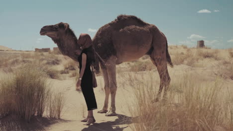 paseos turísticos en camello en el desierto, mujer árabe de pie junto a un dromedario mientras lo acaricia, estableciendo tiro