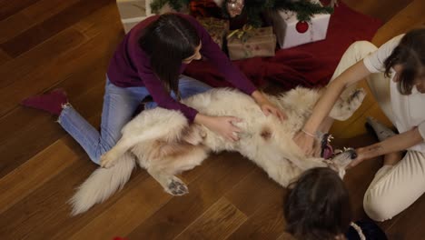 tres niños y mamá acariciando y haciendo cosquillas a un golden retriever en el suelo bajo un árbol de año nuevo decorado, imágenes en ángulo alto