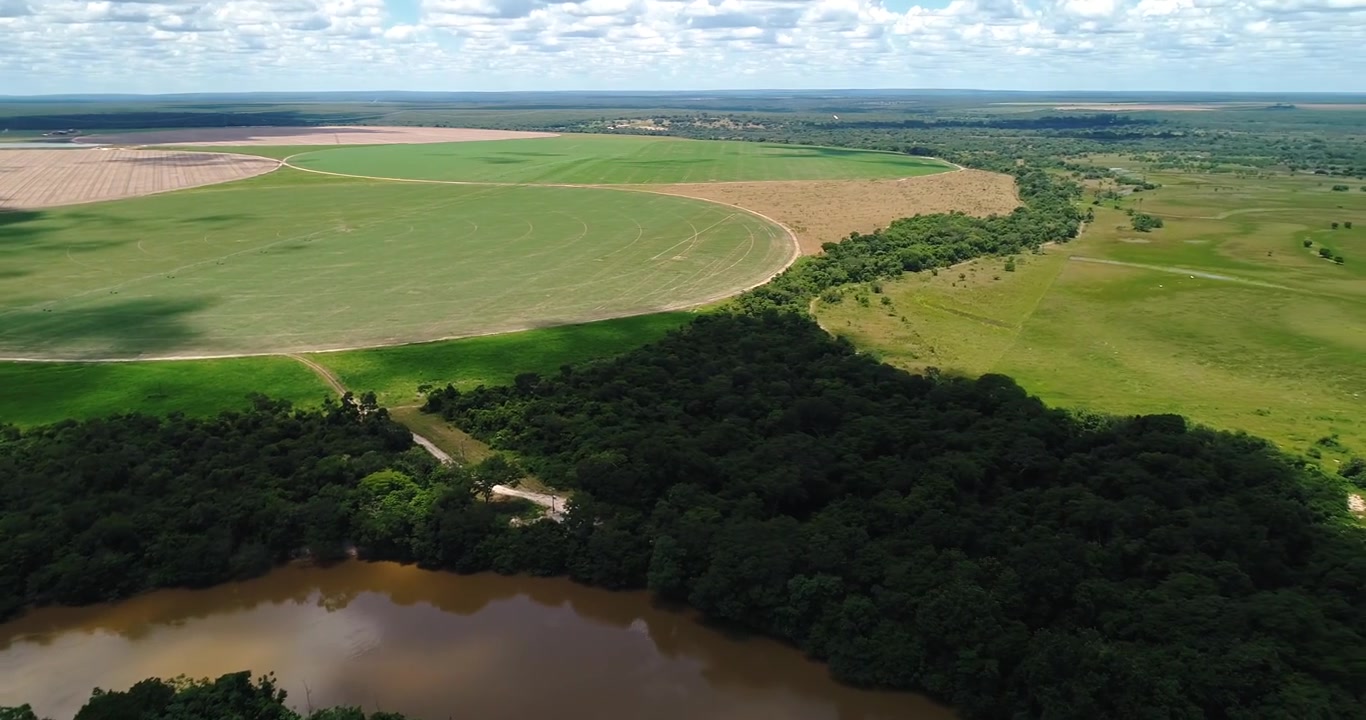 Fiume sinuoso del cerrado delimitato da una fitta foresta a galleria e campi agricoli aperti vicino ad Arinos, Minas Gerais, Brasile, all'interno dell'altopiano di Urucuia e del bacino del São Francisco. Imbardata laterale e panoramica del drone
