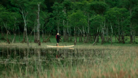 man paddle boarding in a calm forest lake