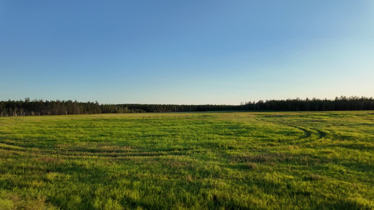 Experience the serene beauty of expansive green fields bathed in golden sunlight, reflecting the tranquil essence of Yakutia, Russia’s captivating landscapes.