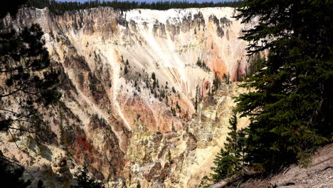 long shot of the grand canyon of yellowstone, zoom in on distant trees growing on steep slope