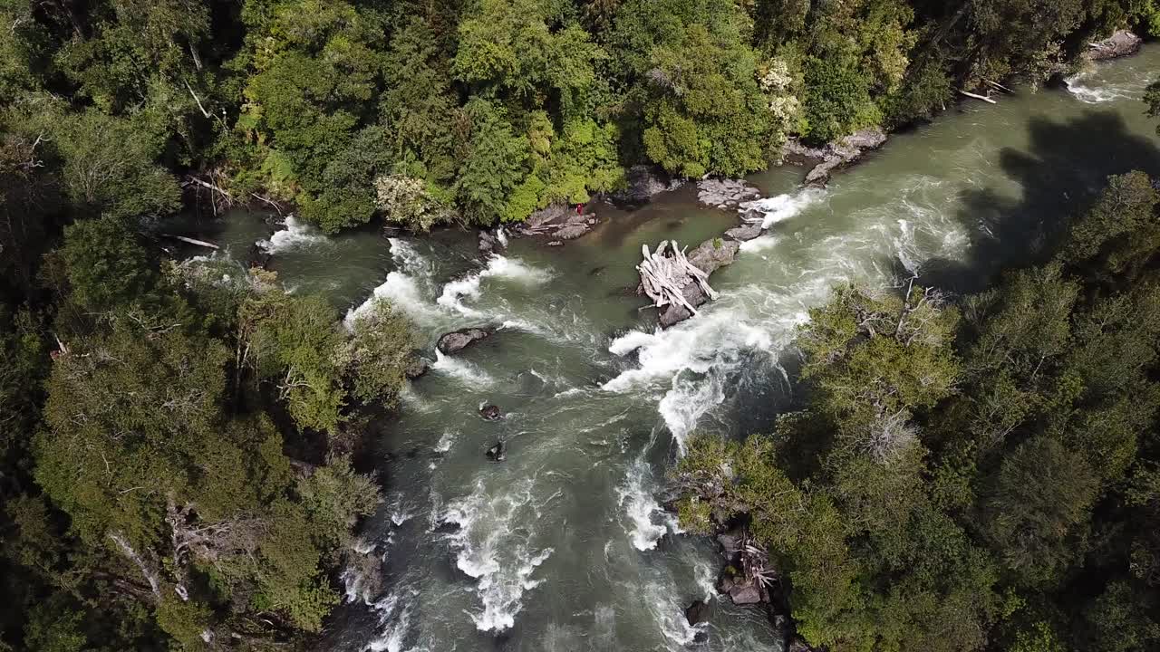 Vista aerea a volo d'uccello del fiume alpino nel Parco nazionale Puyehue, Cile, vicino al confine con l'Argentina