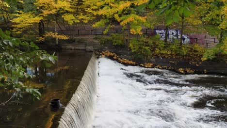 waterfall in the fall with yellow leaves and trees in the background