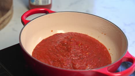 making delicious tomato sauce in a red pot