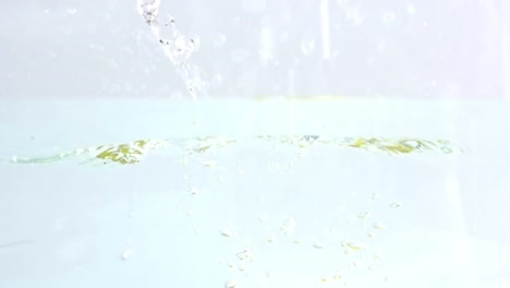 슬로우 모션 레몬 03