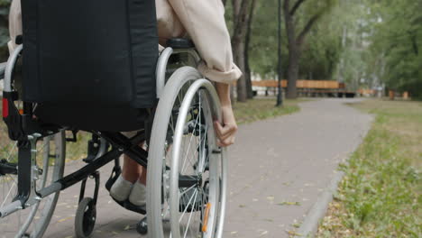 person in wheelchair in park