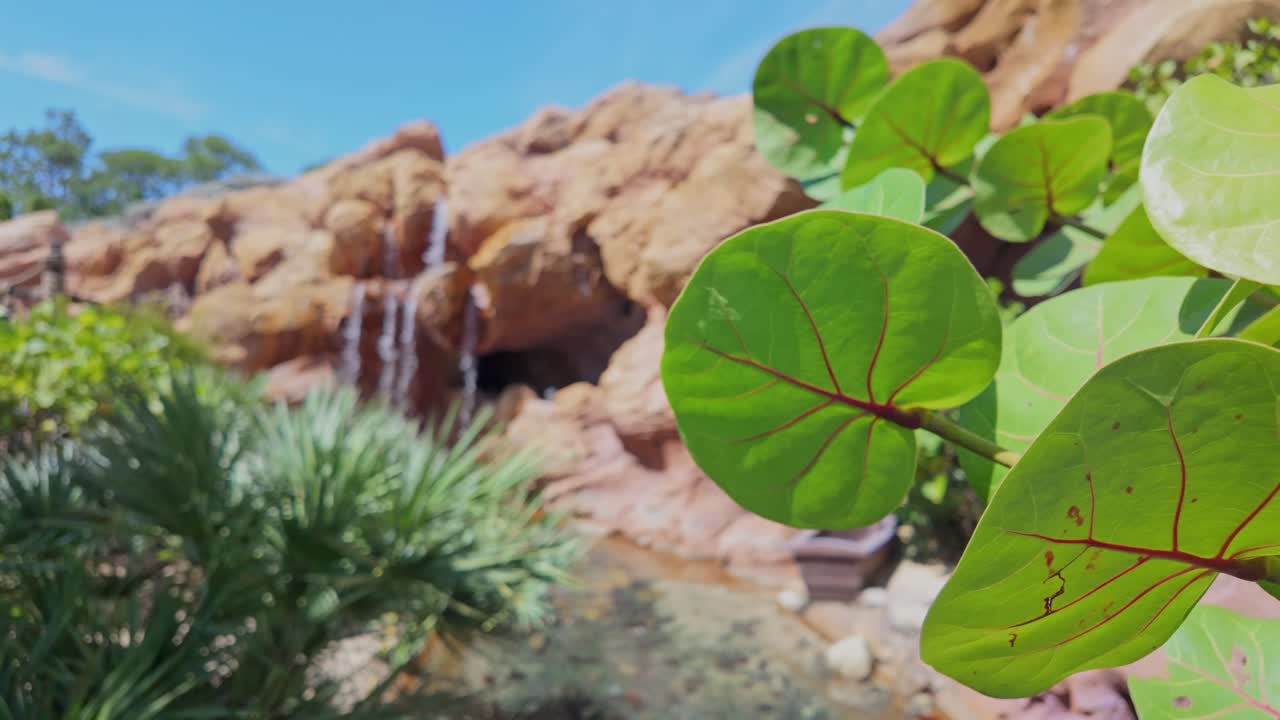 Lush green tropical plants in foreground, waterfall cascading down rocky mountain in background. Bright sunny day at Magic Kingdom, Florida. For travel, theme park, nature