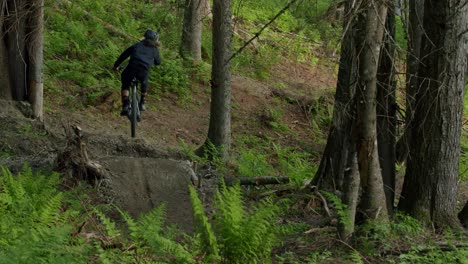 Ciclista-De-Montaña-Salta-Una-Pequeña-Brecha-En-Un-Bosque-Exuberante