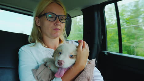 Un-Viaje-Por-Carretera-Con-Una-Mascota:-Un-Lindo-Cachorro-Está-Sentado-En-Los-Brazos-De-Una-Mujer