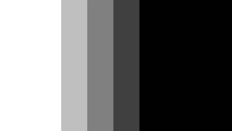 palette mix black grey solid motion animation transition