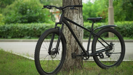 bicycle leaning against tree in tranquil park setting, surrounded by vibrant greenery and soft bokeh background, with blurred figure in distance and paved path