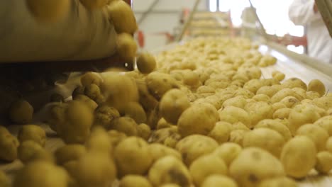 las patatas se están rodando en cámara lenta.