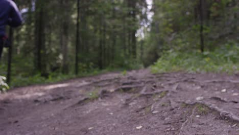 man running through a forest trail