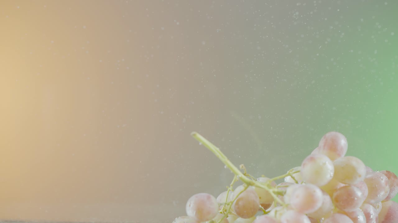 은 포도에 물을 뿌리는 것