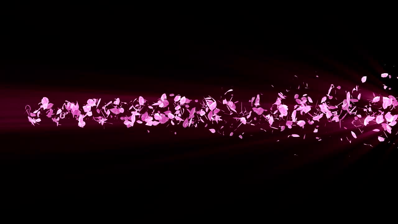 꽃의 나선형 반이는 입자, 사쿠라 패턴, 일본의 꽃 춤, 분홍색 꽃잎의 소용돌이, 추상적인 루프 애니메이션.