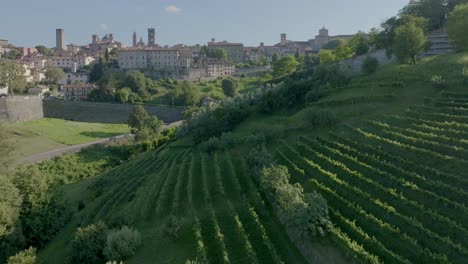 Bergamo-Typisches-Altes-Dorf-über-Dem-Hügel,-Umgeben-Von-Grün--Und-Weinpflanzen-An-Einem-Sonnigen-Tag