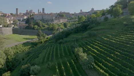 bergamo típico pueblo antiguo sobre la colina rodeado de plantas verdes y de vino en un día soleado