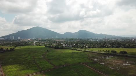 Fly-over-plantation-with-background-Cherok-Tokkun-hill