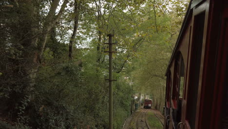 train passing through a forest tunnel
