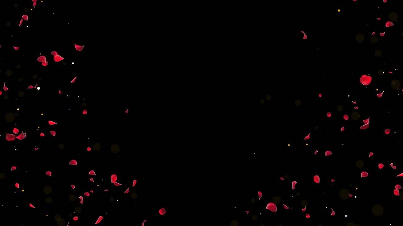 Rose Petals Falling on Black and Green Background