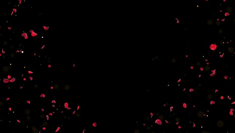 rose petals falling on black and green background