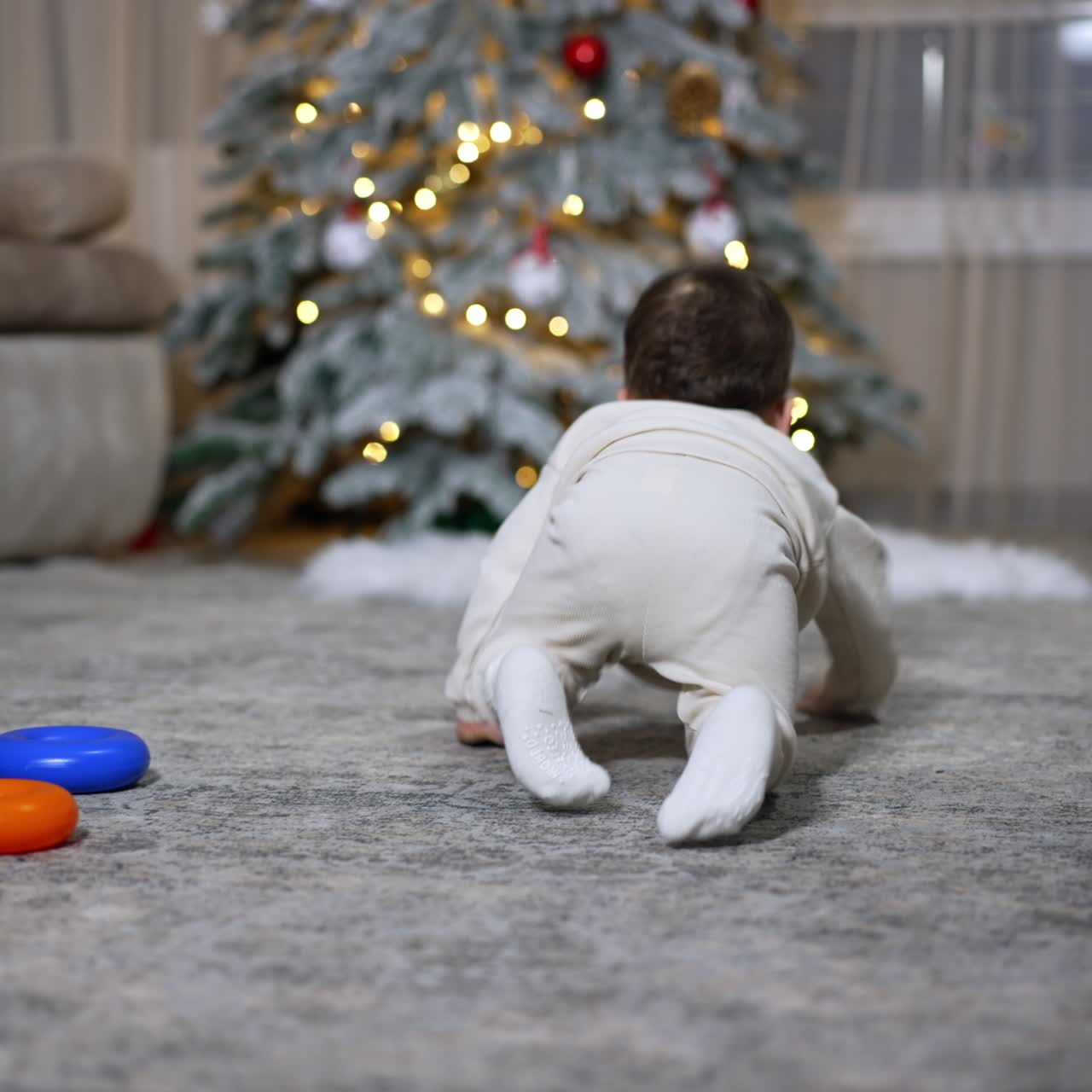 Adorable baby sitting his back to camera on the floor looking at Christmas tree. Child quickly crawls to the tree