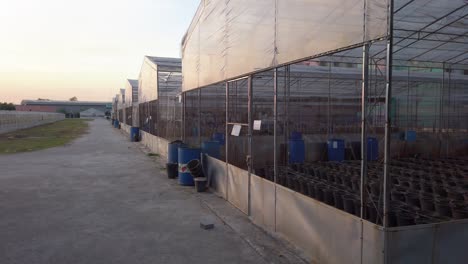 Pan-shot-of-large-industrial-greenhouse-growing-facilities-at-sunset