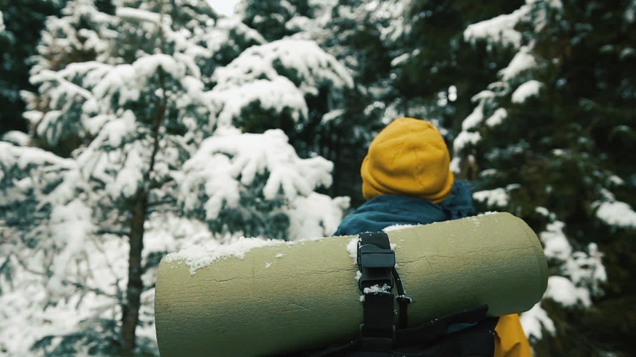 Person hiking in snowy forest