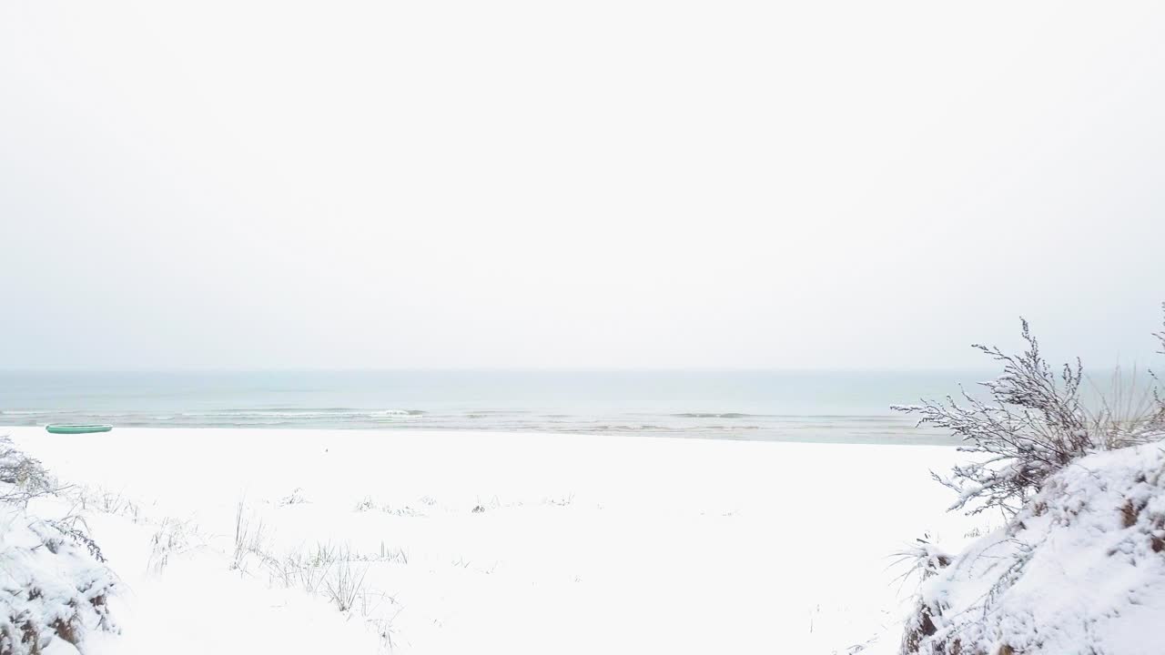 눈으로 덮인 나무의 아름다운 공중 영상, 가벼운 눈이 내리는, 북유럽 삼림 지대 소나무 숲, 발트해 연안, 해안 모래 언덕을 통해 뒤로 움직이는 넓은 드론 샷