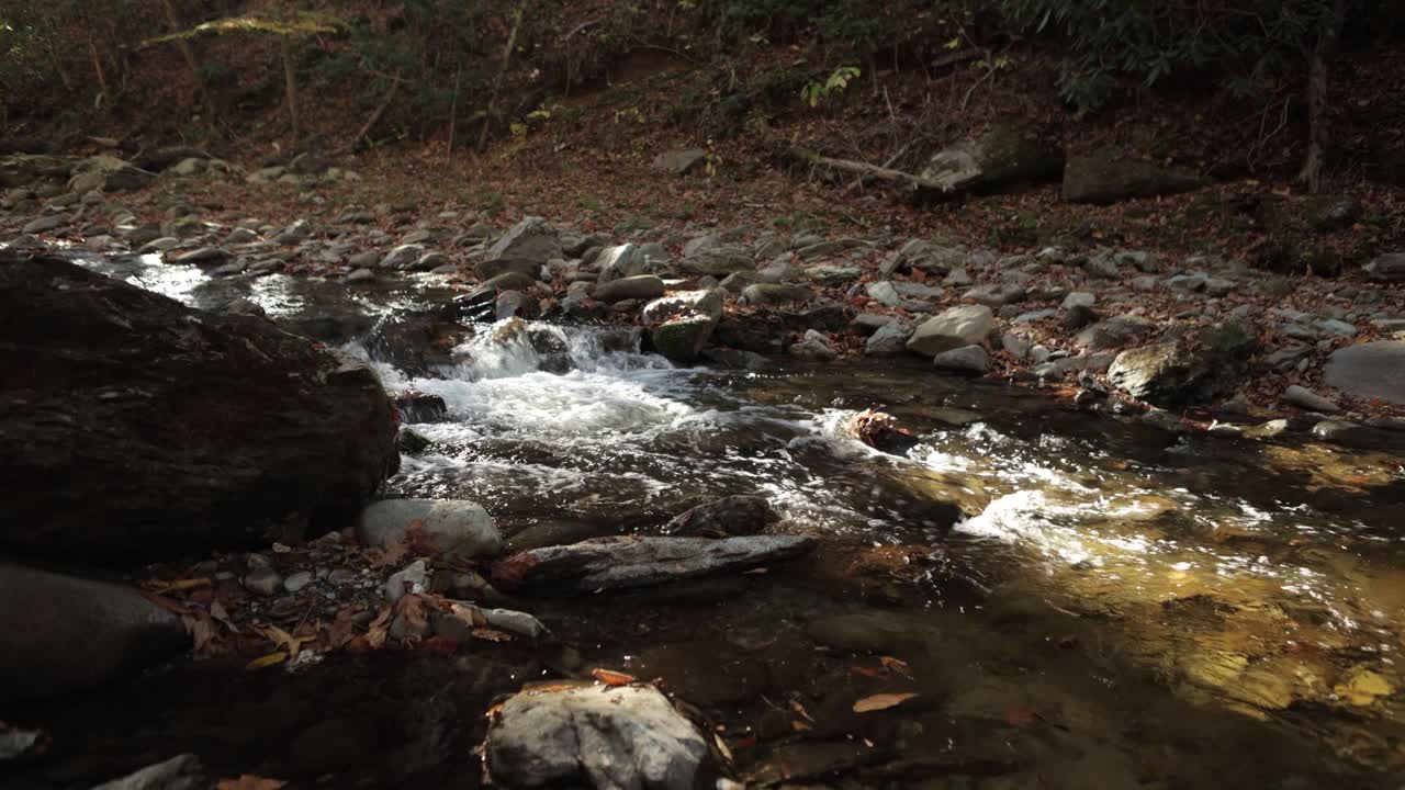 Static shot of a small creek flowing gently between rocks, with autumn leaves scattered along the shore.