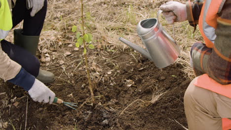 nahaufnahme der hände zweier aktivisten, die das land pflügen und einen baum im wald gießen