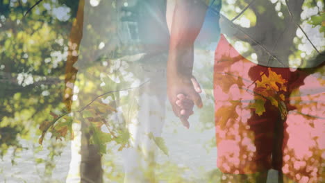 animation of glowing light over happy senior couple walking by seaside