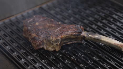 hornear un filete en la cocina de la barbacoa