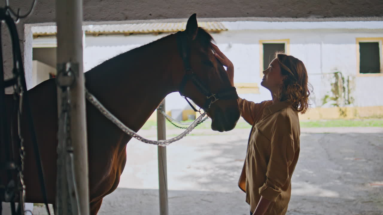 Calm lady petting equine in ranch closeup. Happy horse woman owner in paddock