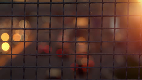 metallic squared netting fence in golden sunlight closeup. restrictions in town.