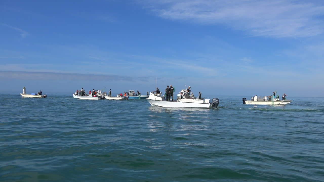 낚시 시즌이 시작되면 모터보트가 오픈 시즌으로 향합니다.