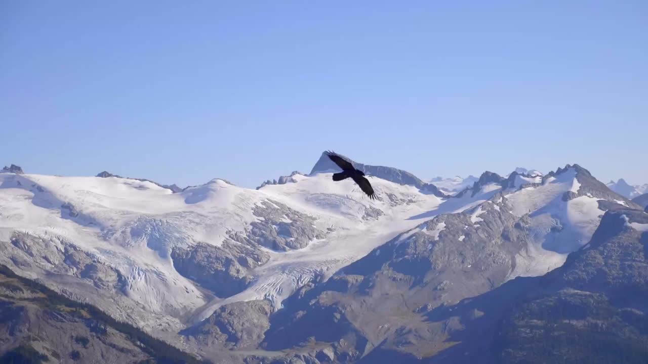 Aquila nera che vola sopra montagne e mari in una splendida giornata di sole