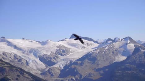 águila negra volando sobre montañas y mares en un hermoso día soleado